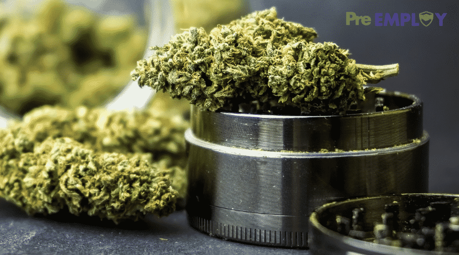 Connecticut Legalizes Recreational Marijuana What Do Employers Need To Know
