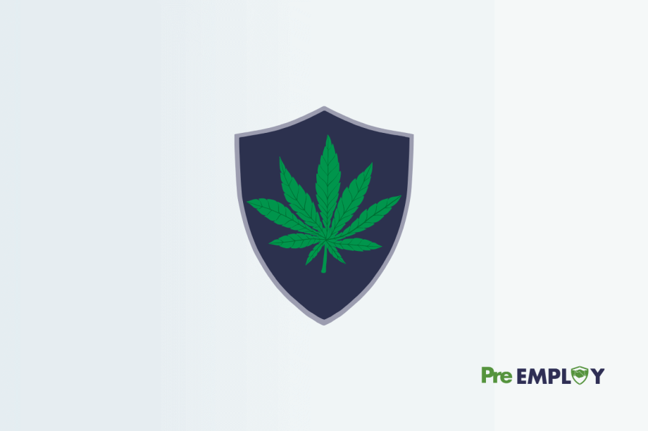 Marijuana Users Gaining Increasing Employment Protections