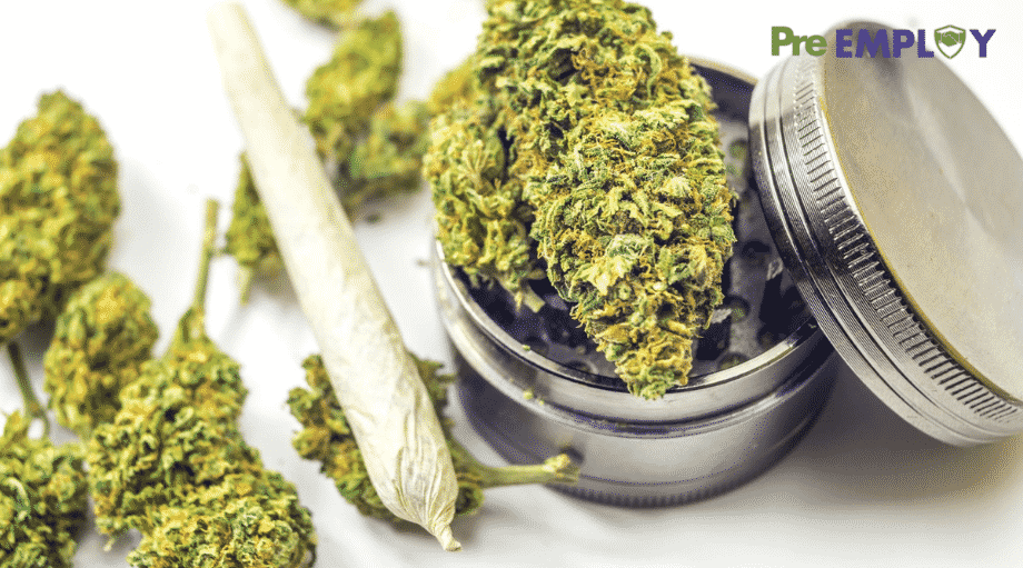 Legal Marijuana in Virginia Not Expected to Impact Workplace Significantly