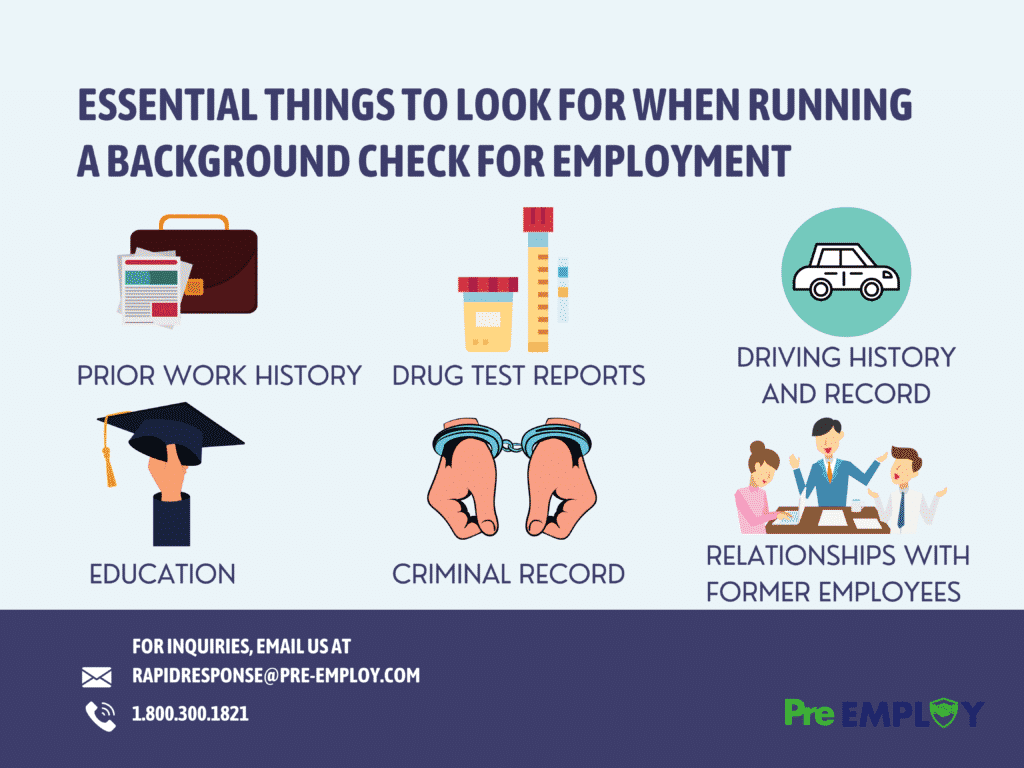 Background Check for Employment - Essential Things to Look For