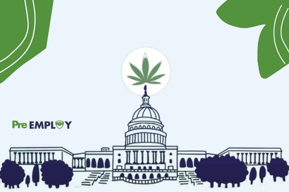 Federal Legislation to Legalize Cannabis Consumption Introduced in the